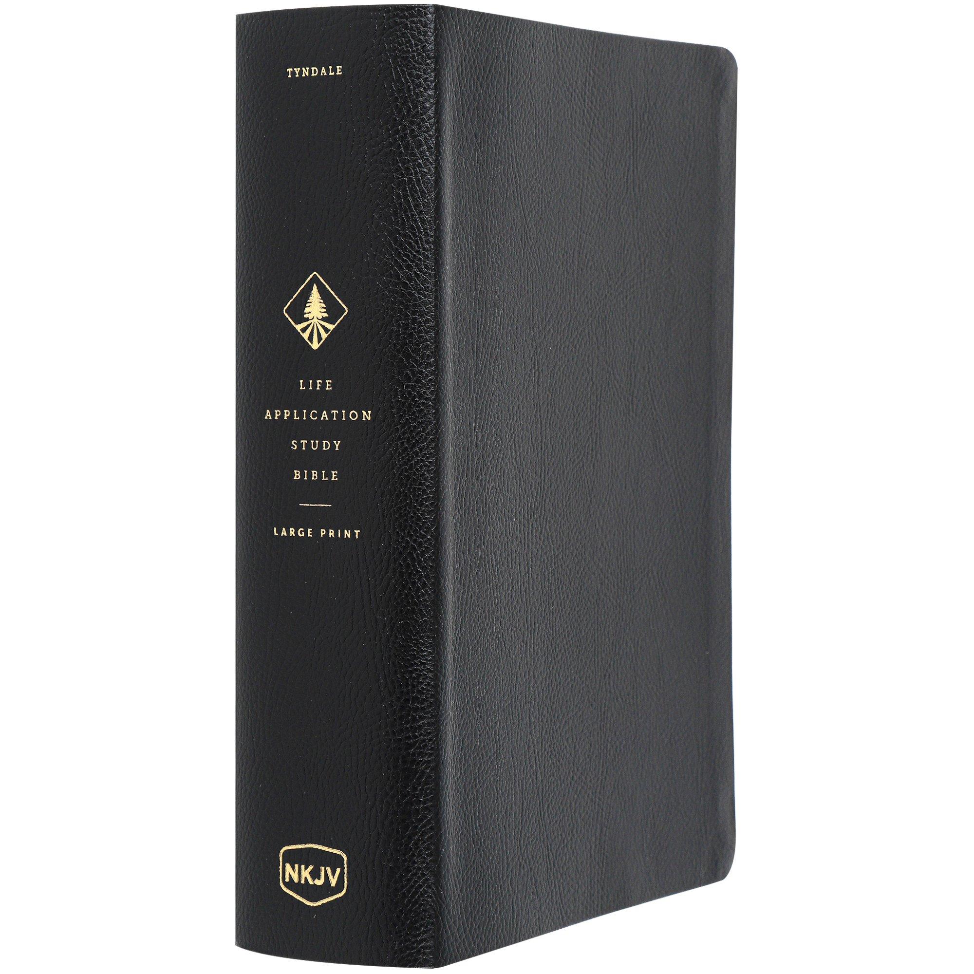 NKJV Life Application Study Bible, 3rd Edition, Large Print, Leather ...