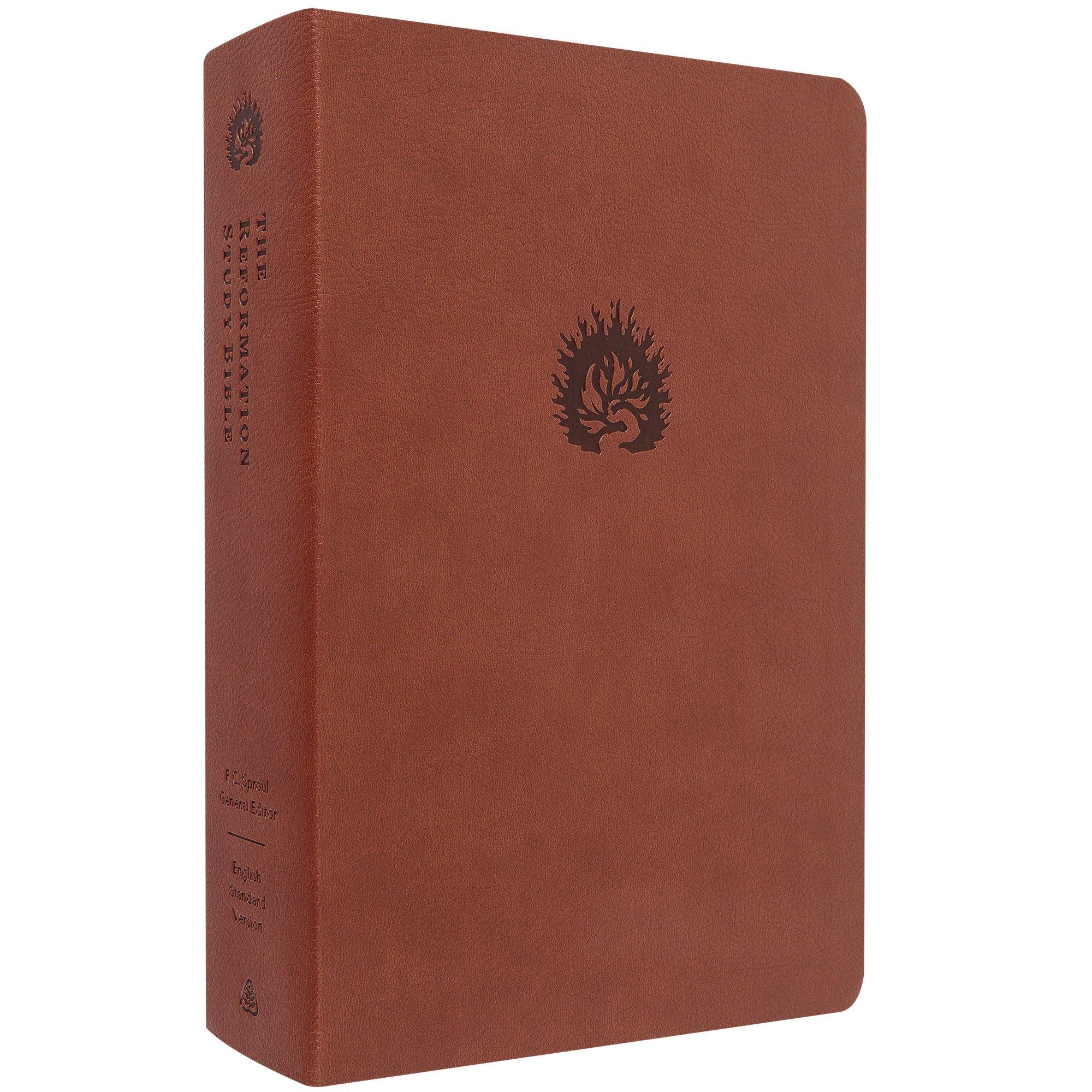 4119095-4119095-IMGSET