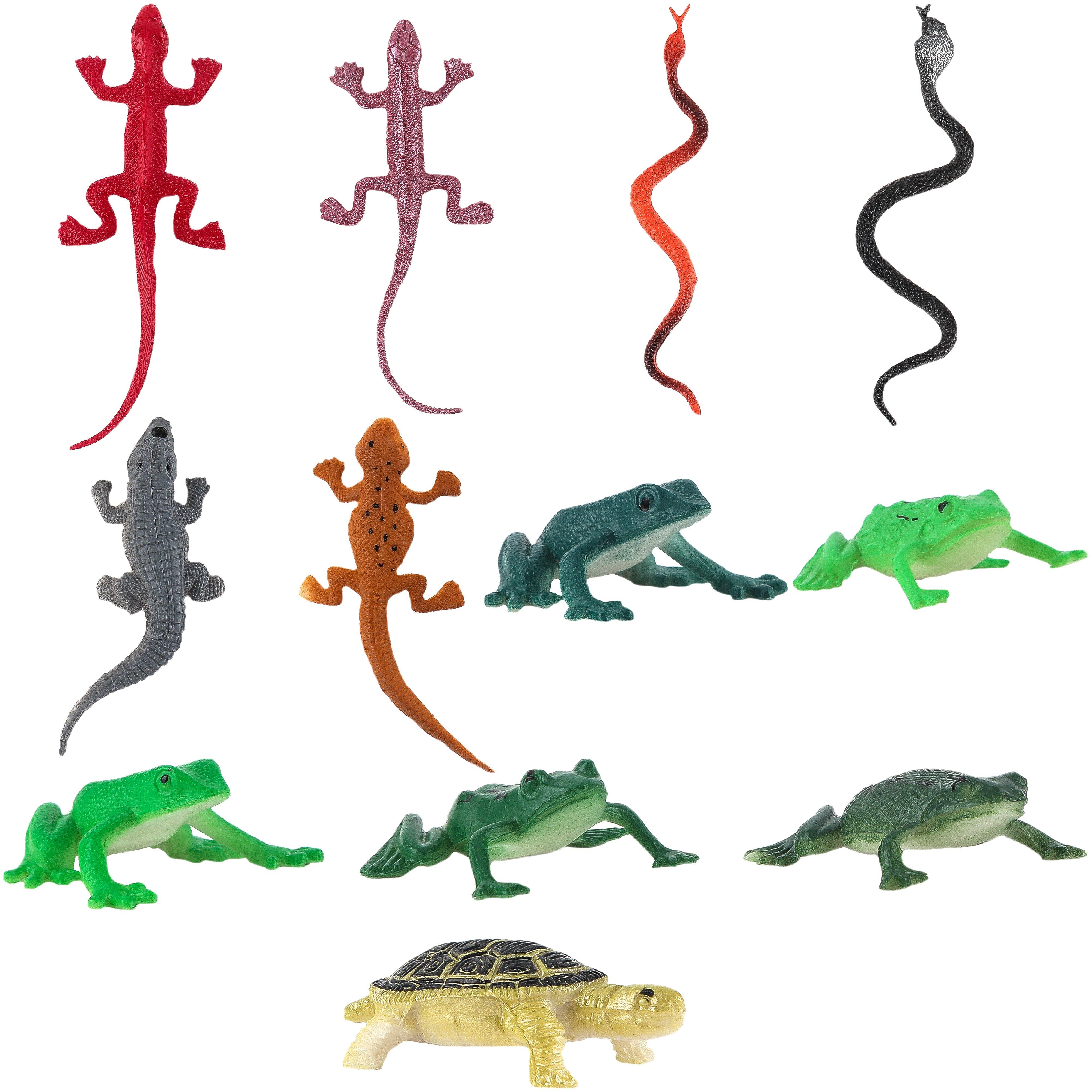 Selected Product Image