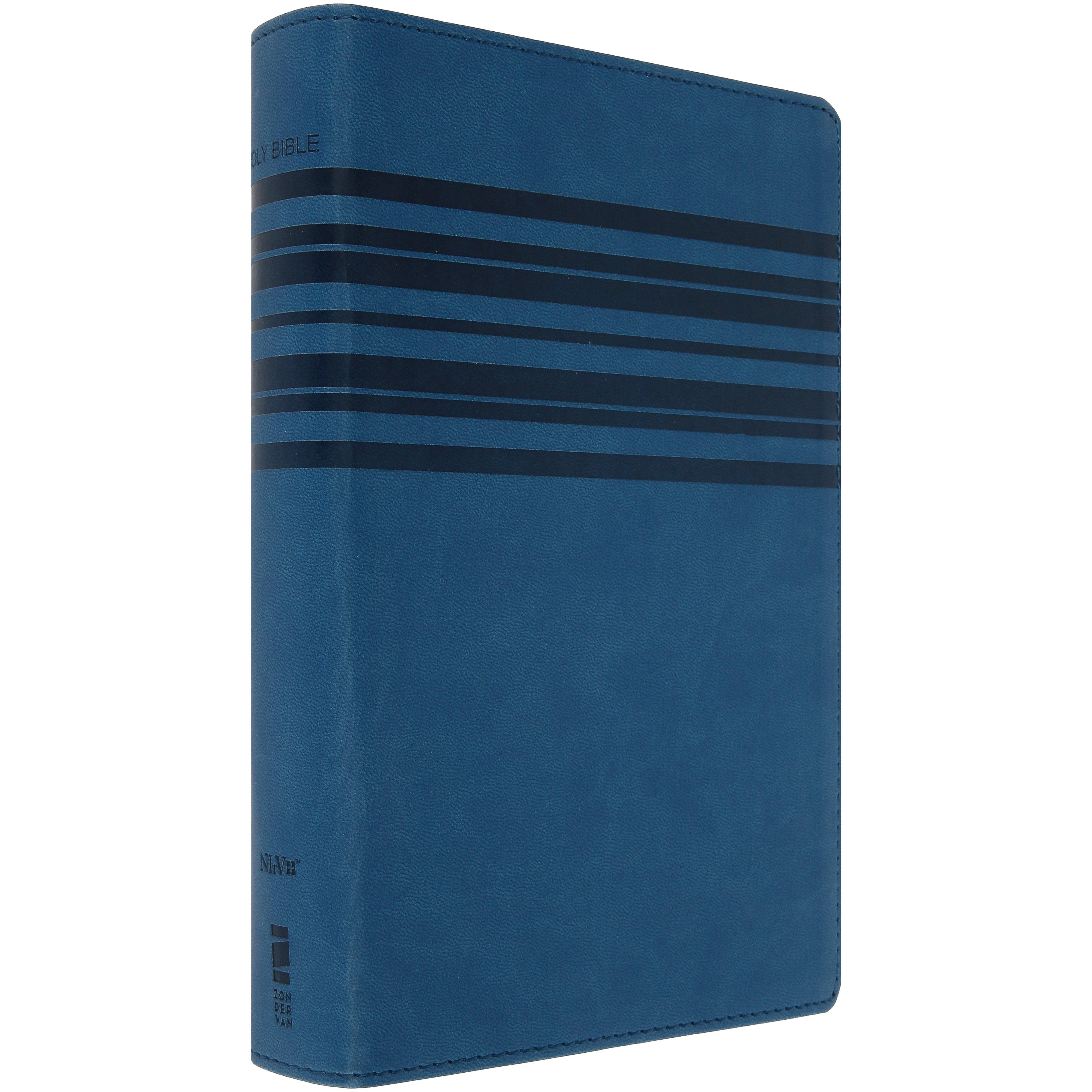 NIrV Large Print Bible, Imitation Leather, Blue | Mardel | 4178182