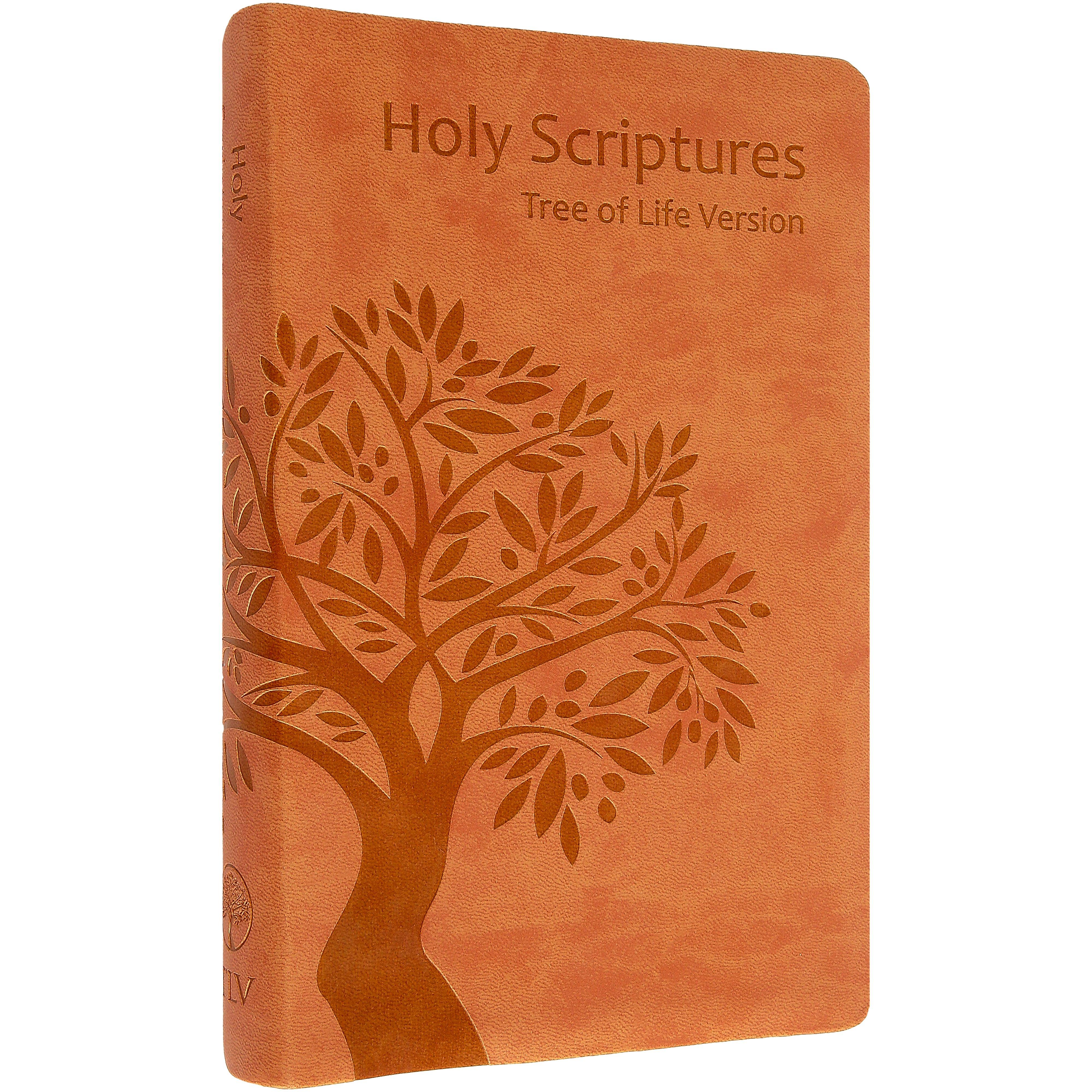 Selected Product Image