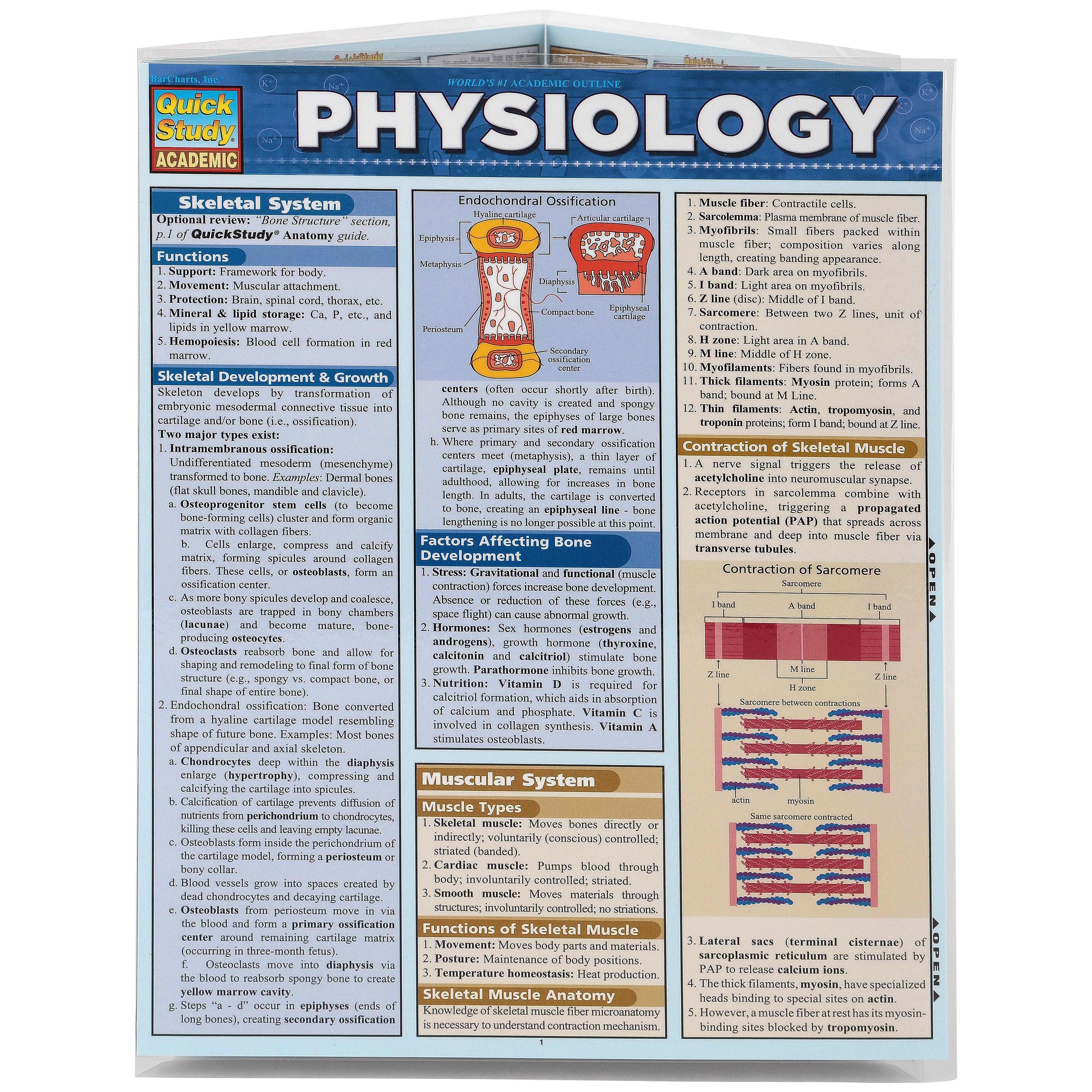 4213062-4213062-04212025-IMGSET