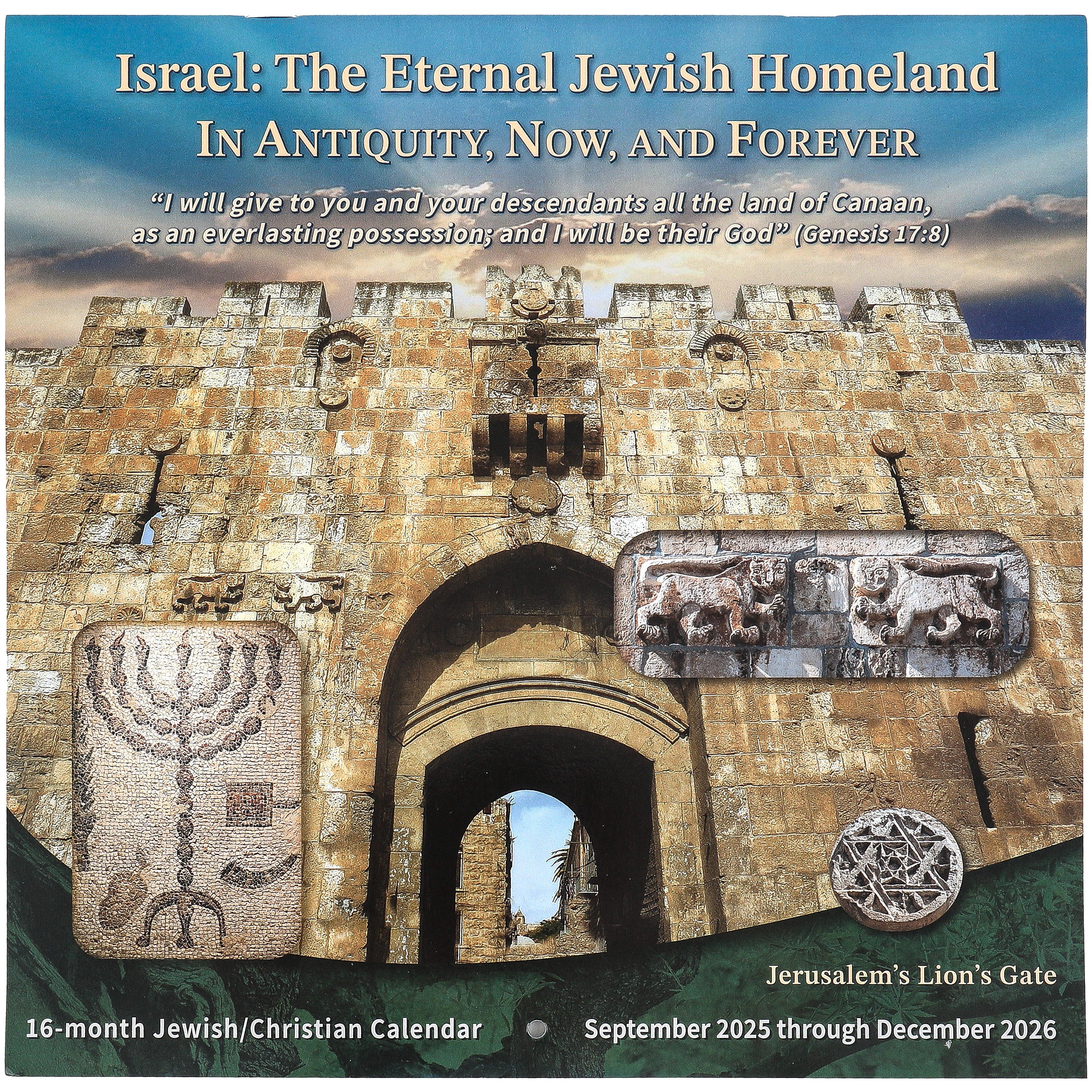 Selected Product Image