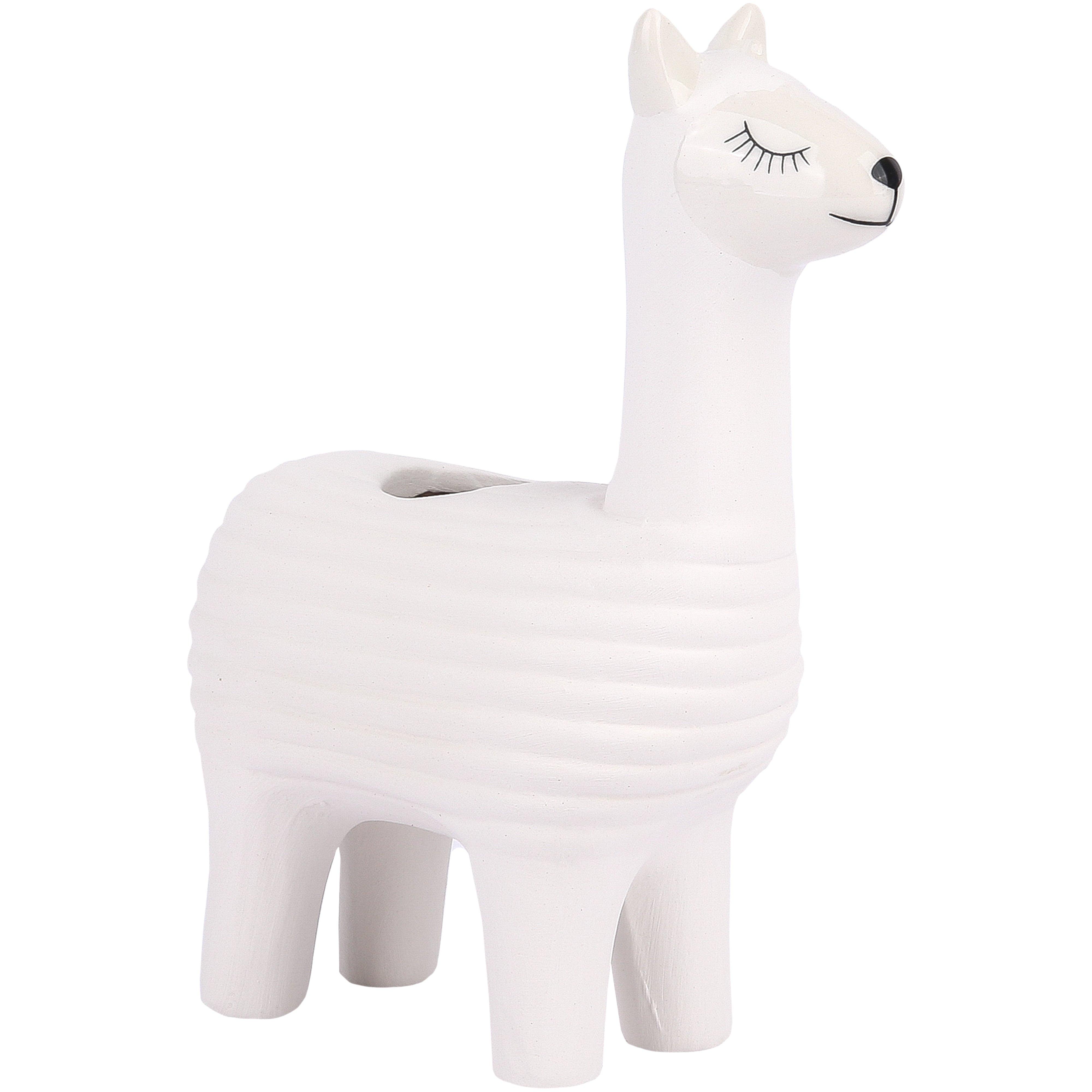 Selected Product Image