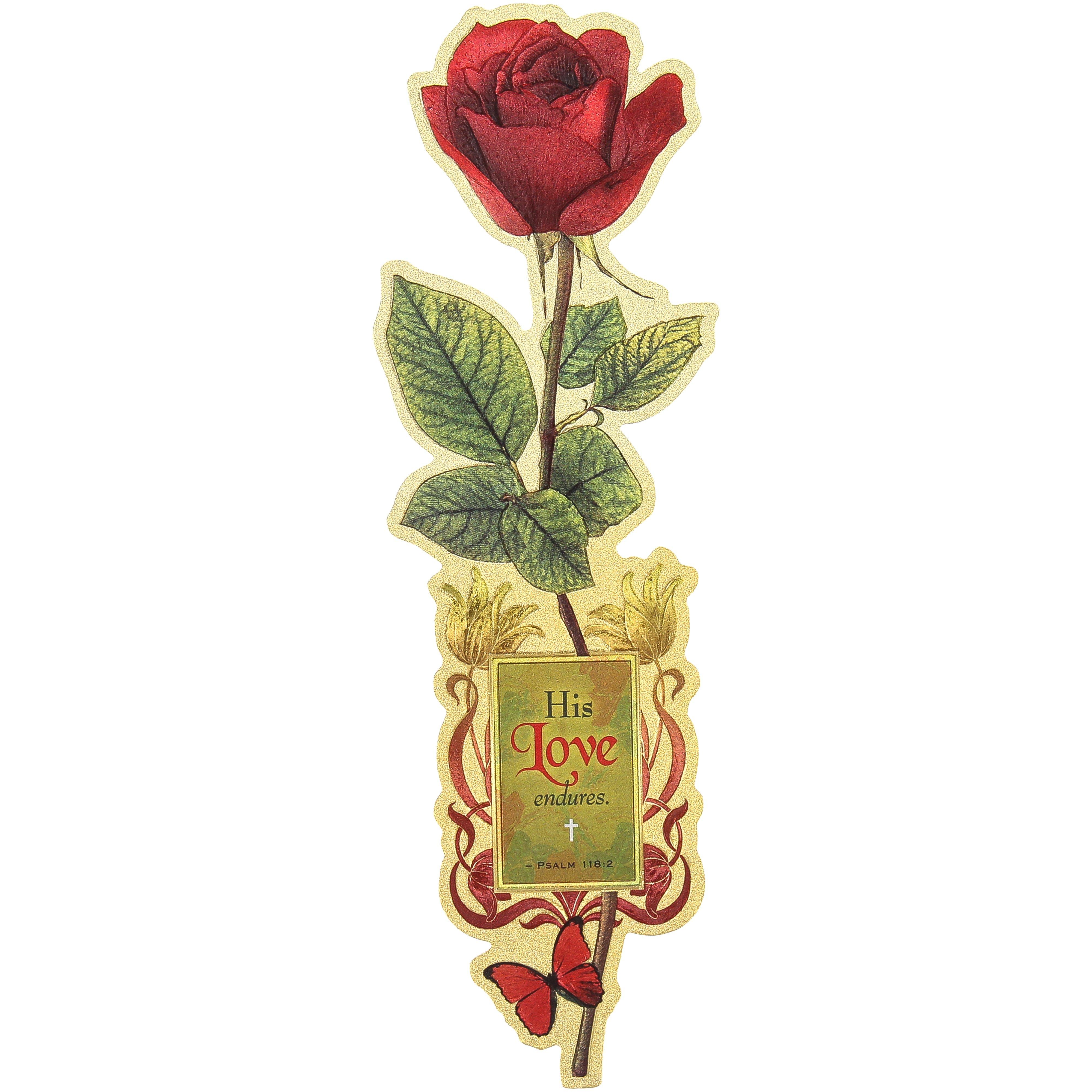 Selected Product Image