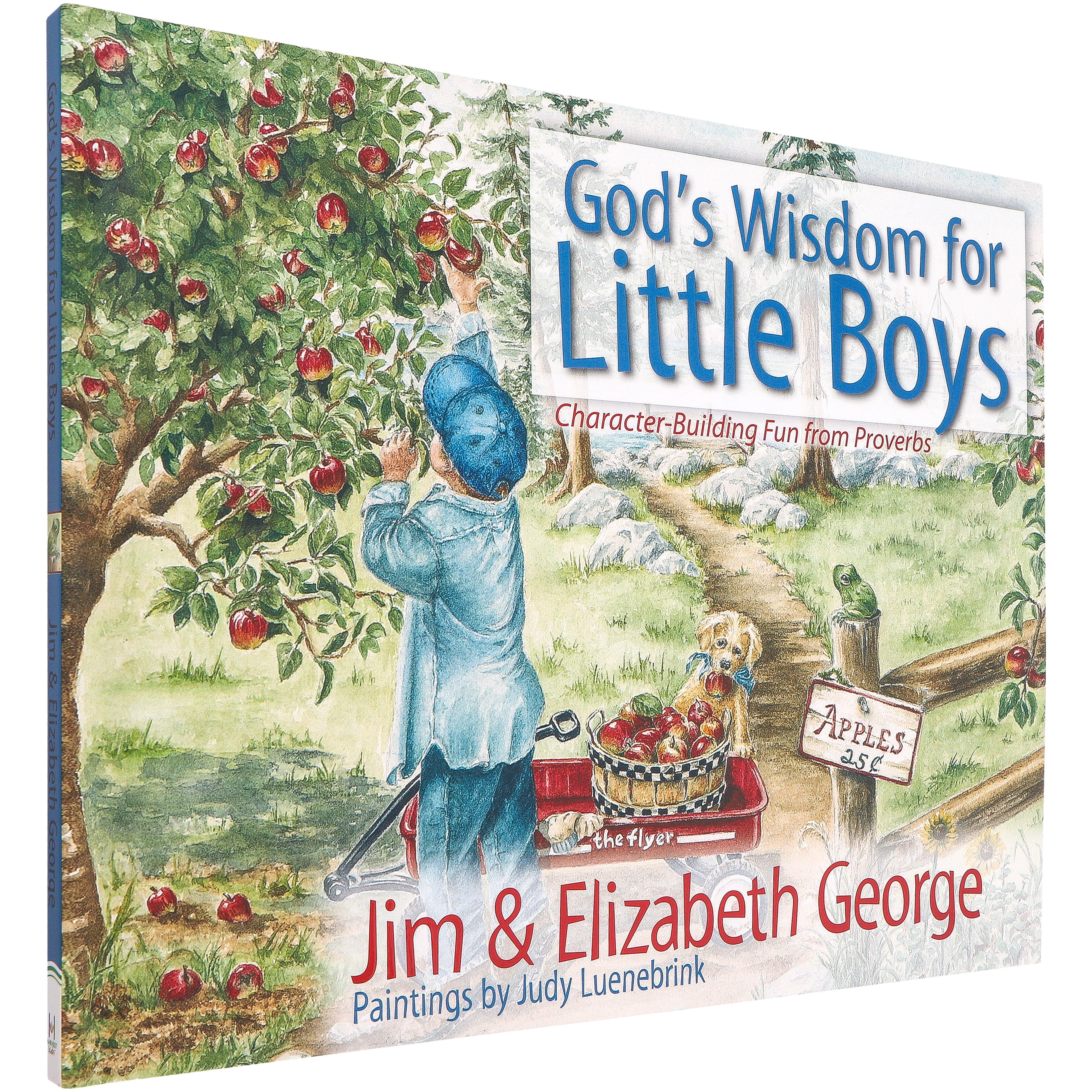God's Wisdom for Little Boys: Character-Building Fun from Proverbs, by Jim & Elizabeth George ...
