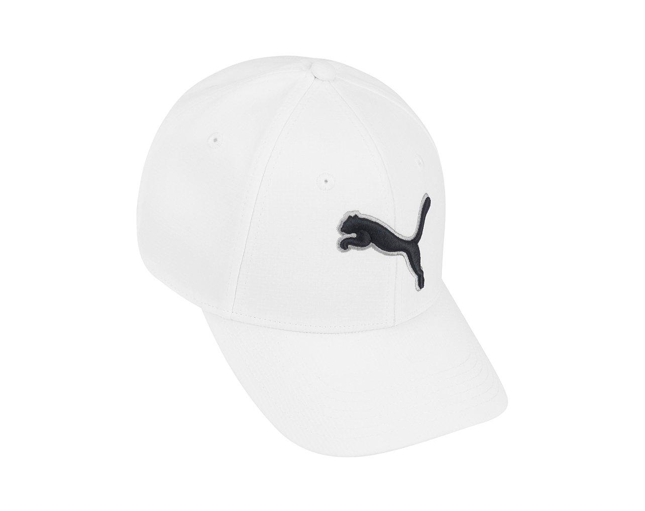 Puma Men's Evercat Dillon 2.0 Stretch Cap