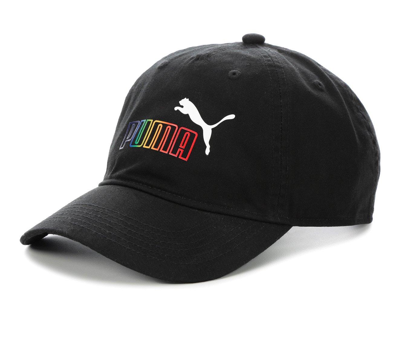 Puma Men's Rainbow Dad Cap