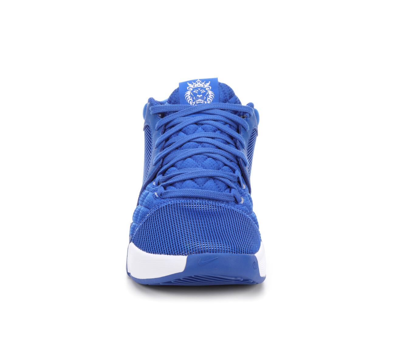 Men's Nike Lebron Witness VIII Basketball Shoes