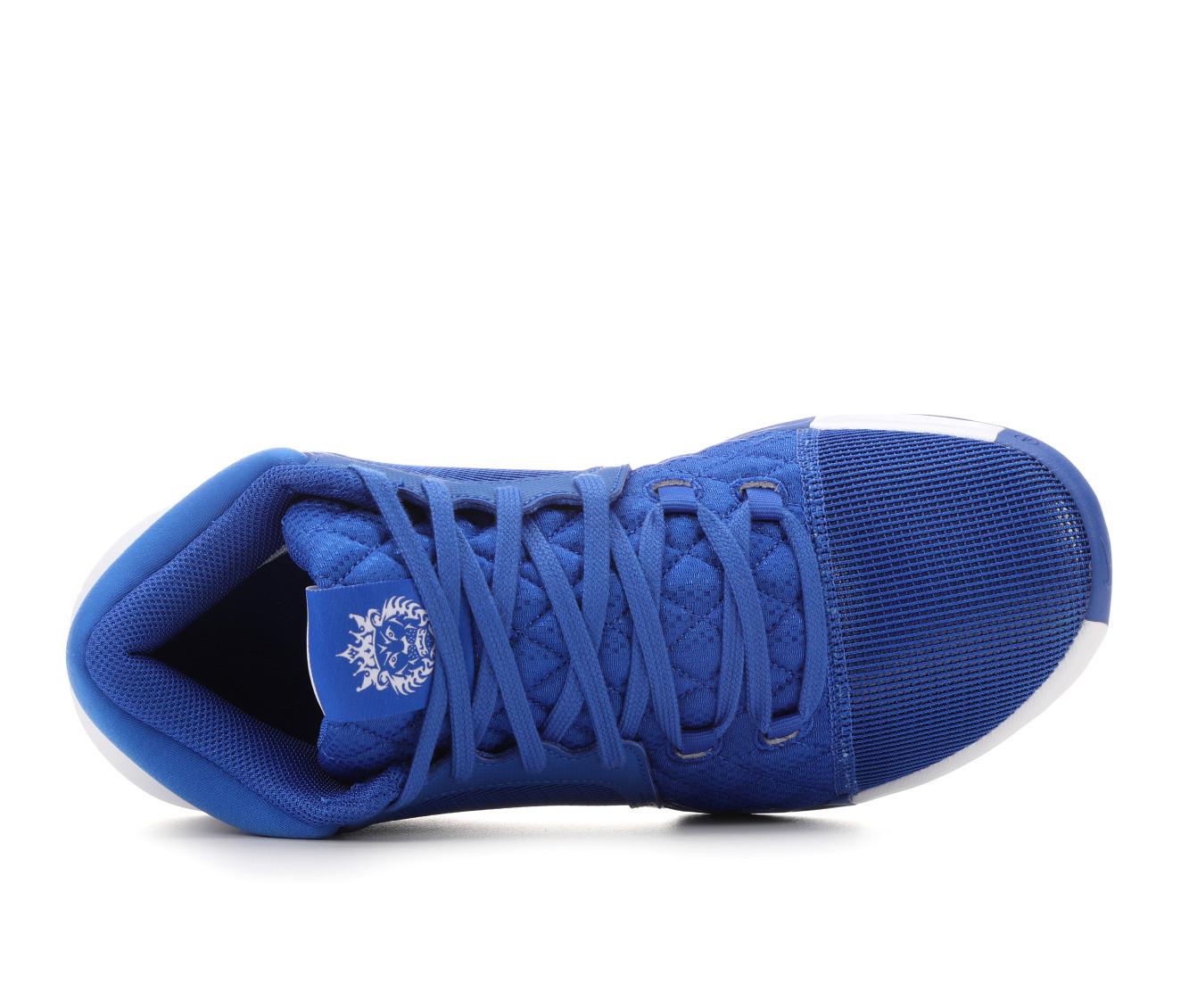 Men's Nike Lebron Witness VIII Basketball Shoes