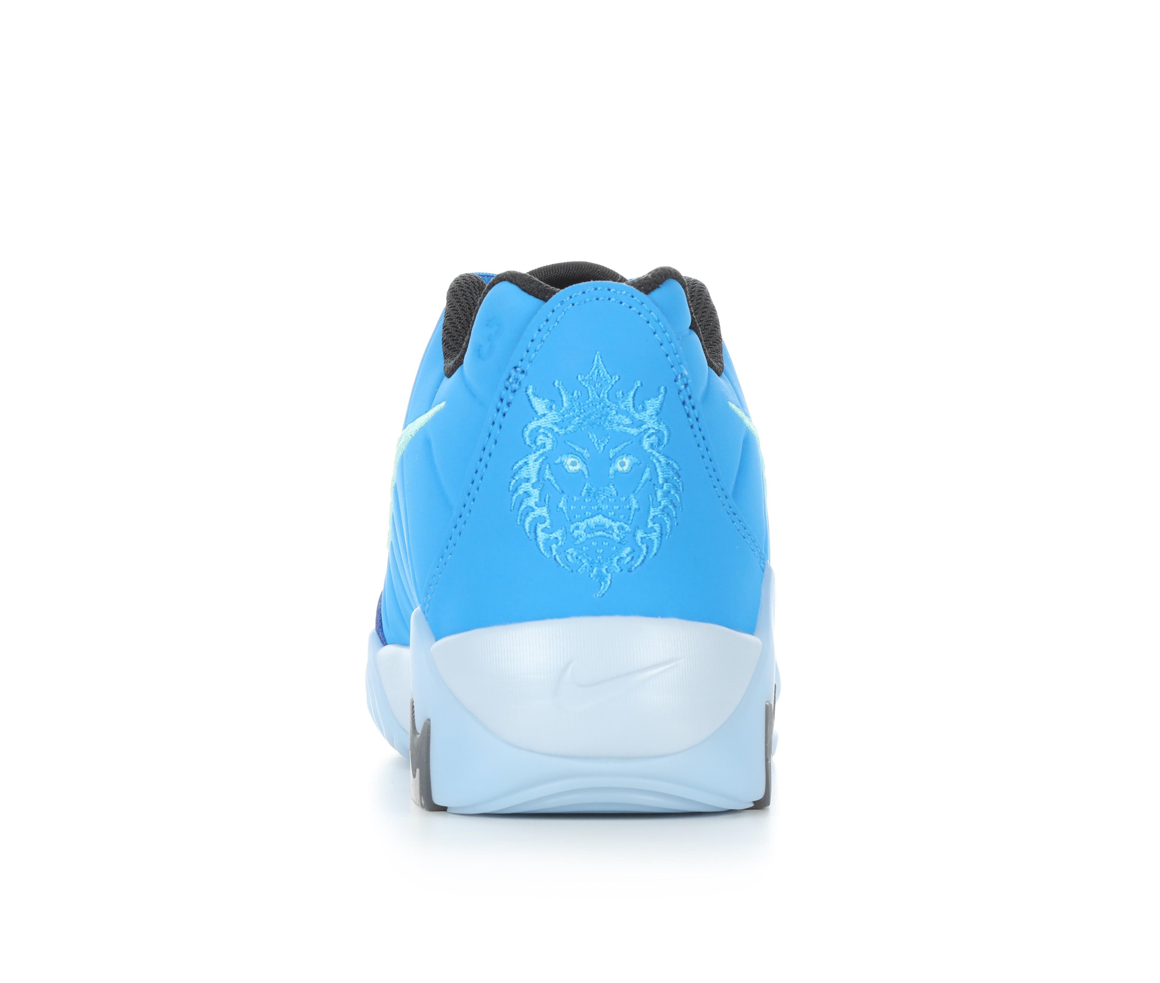 Boys' Nike Lebron Witness IX Gradeschool Basketball Shoes