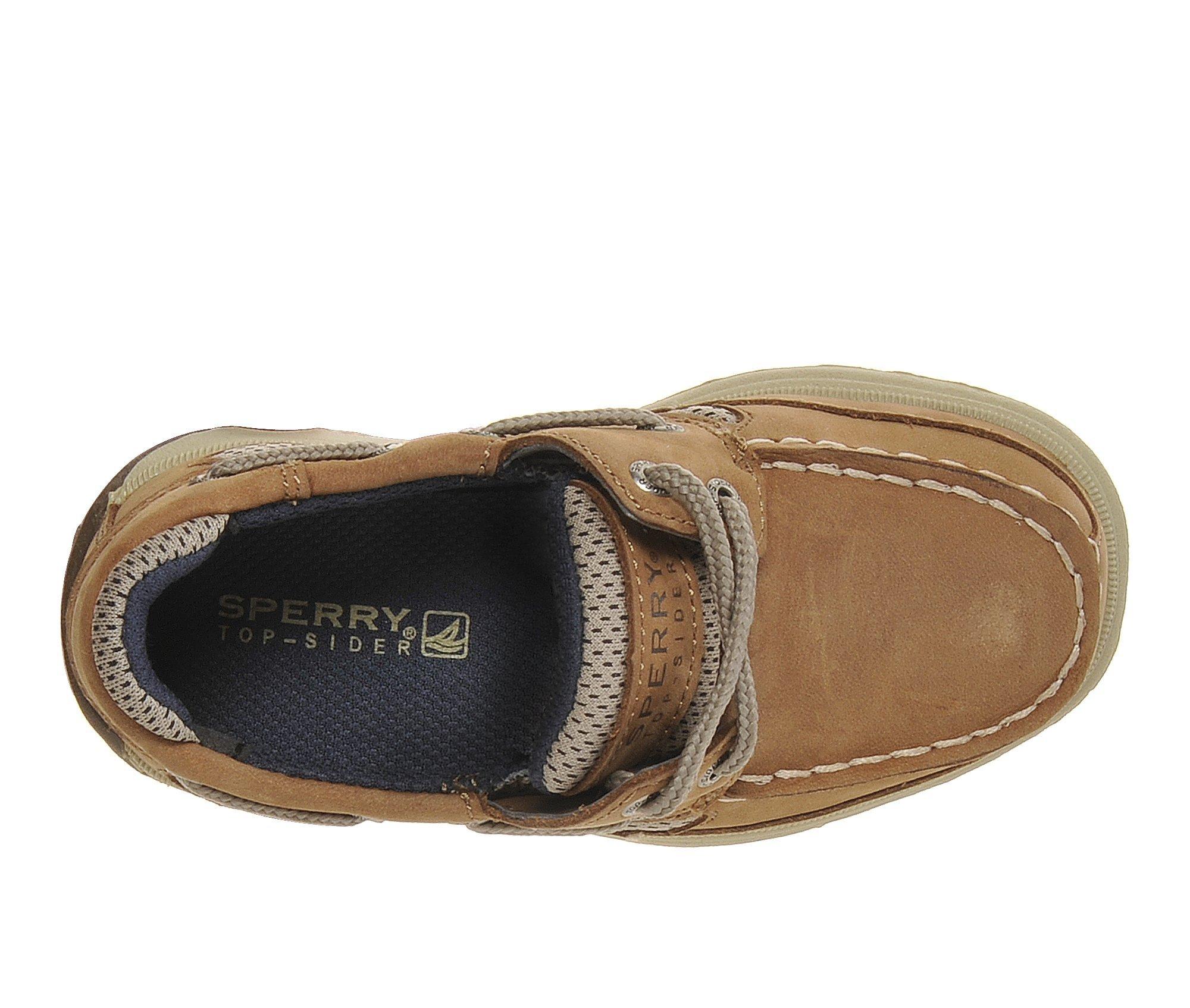 Boys' Sperry Toddler & Little Kid Lanyard Boat Shoes