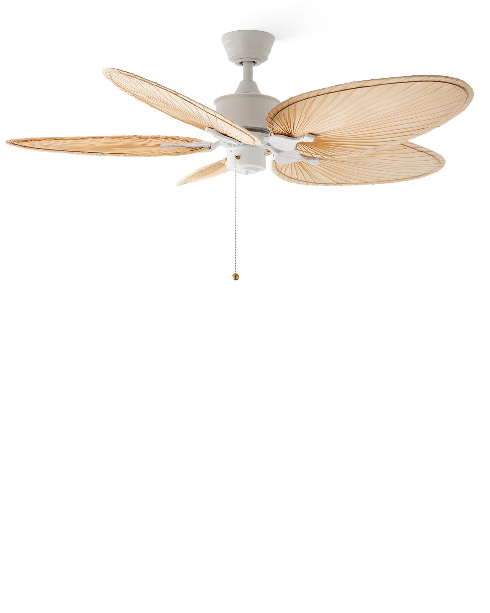 Serena & Lily Belize Palm Indoor Ceil...