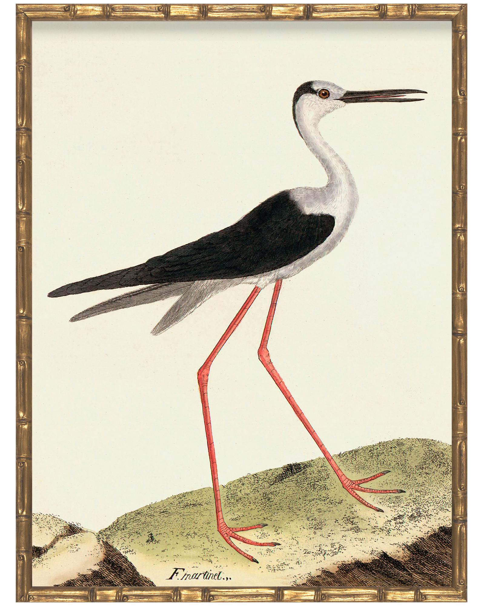 Vintage Birds