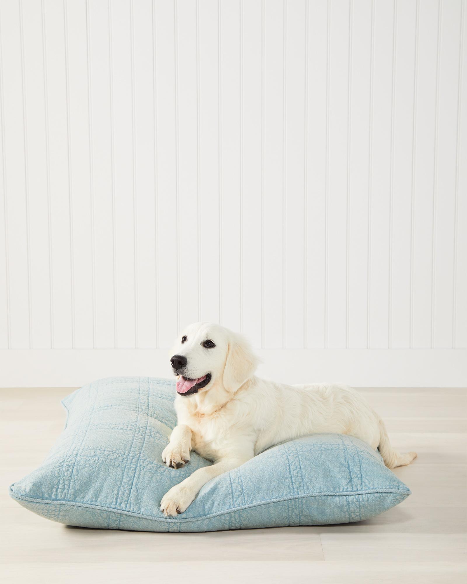 Dog bed with outlet pillow and blanket