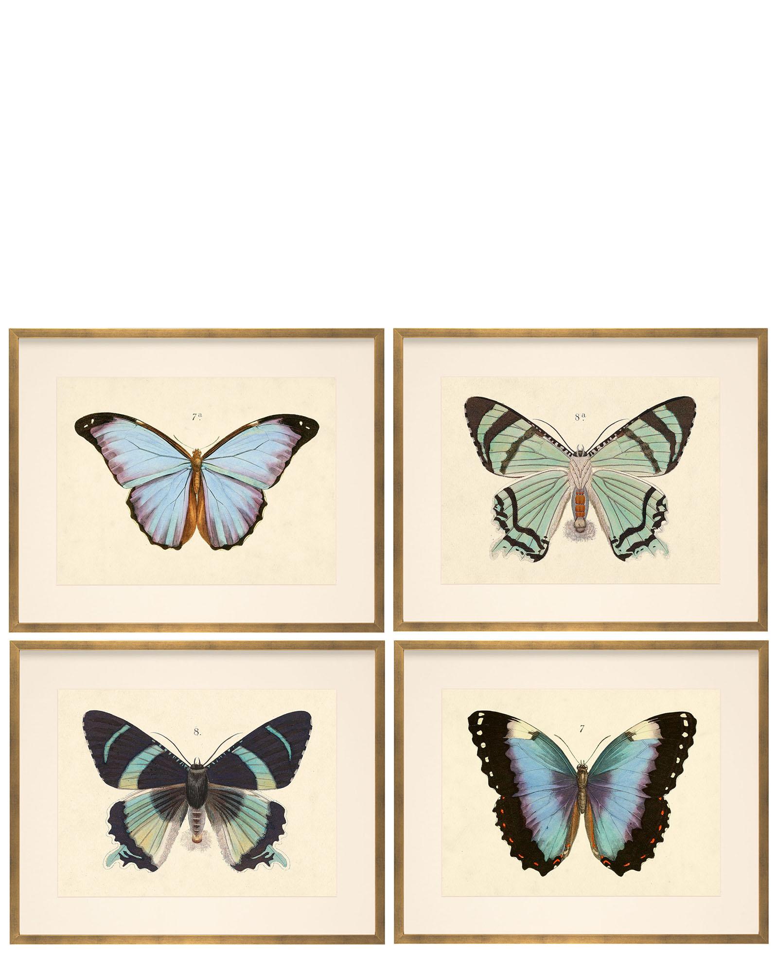 Butterfly No 2 - The Crown Prints