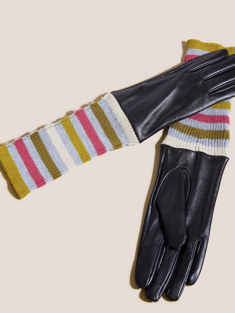 Lucy Leather Embroidered Glove