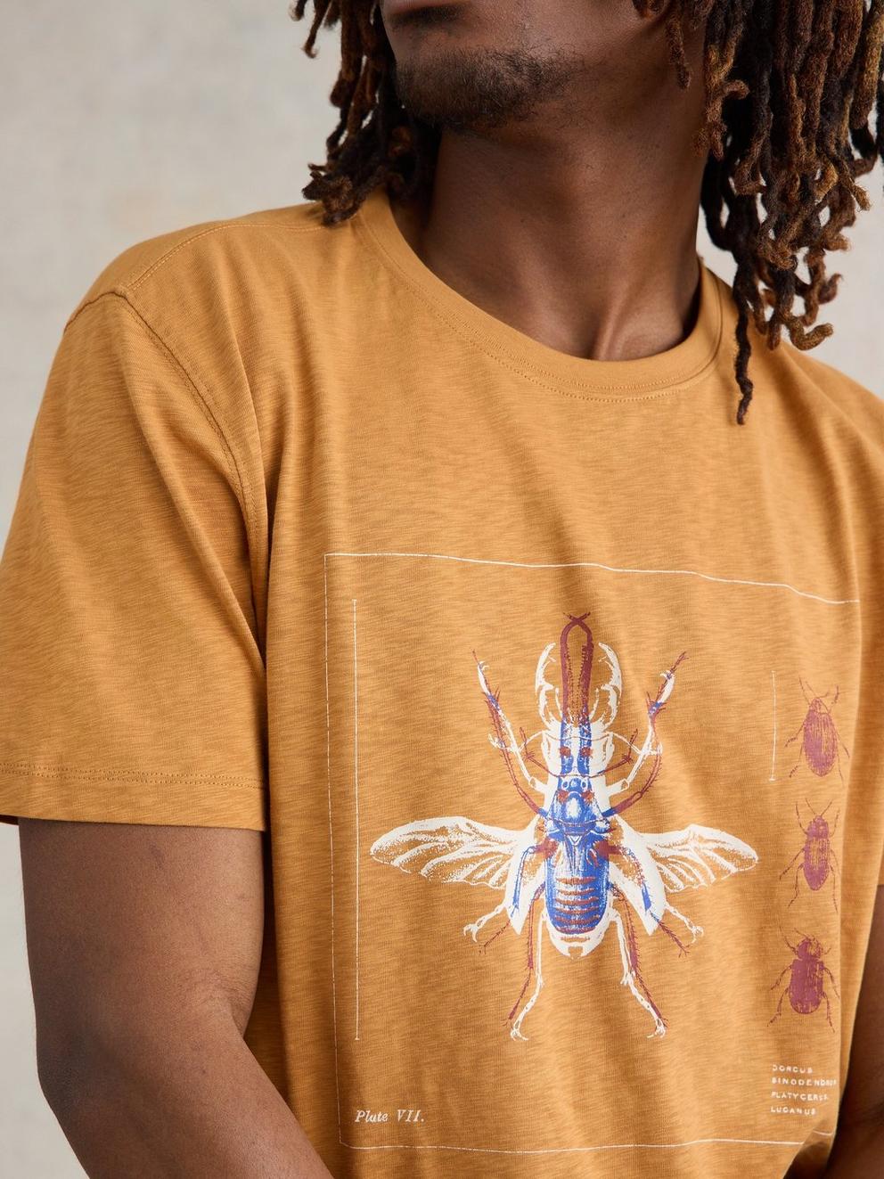 Beetle Graphic Tee