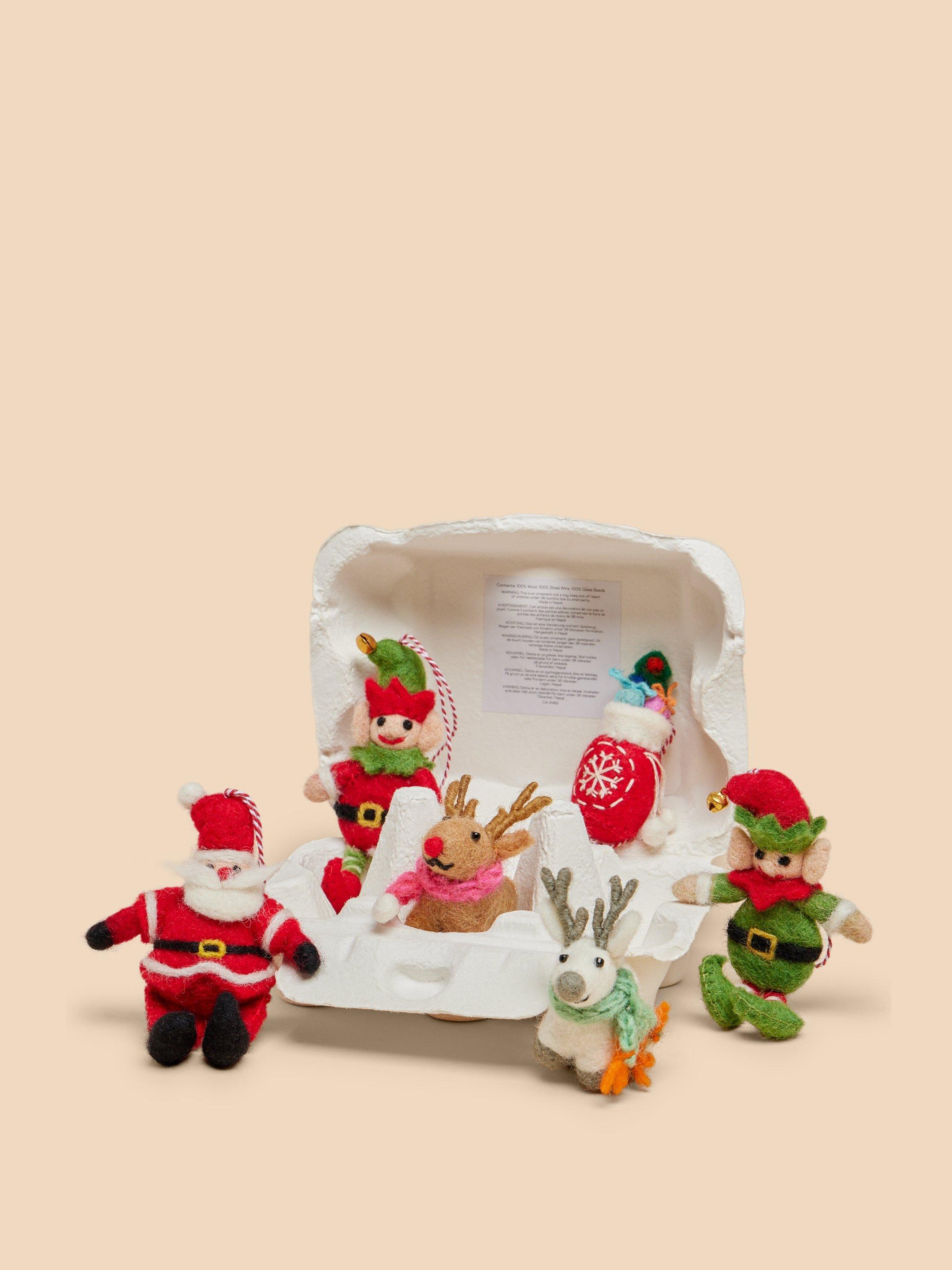 Santa Delivery Egg Box