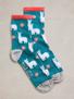BRT TEAL swatch