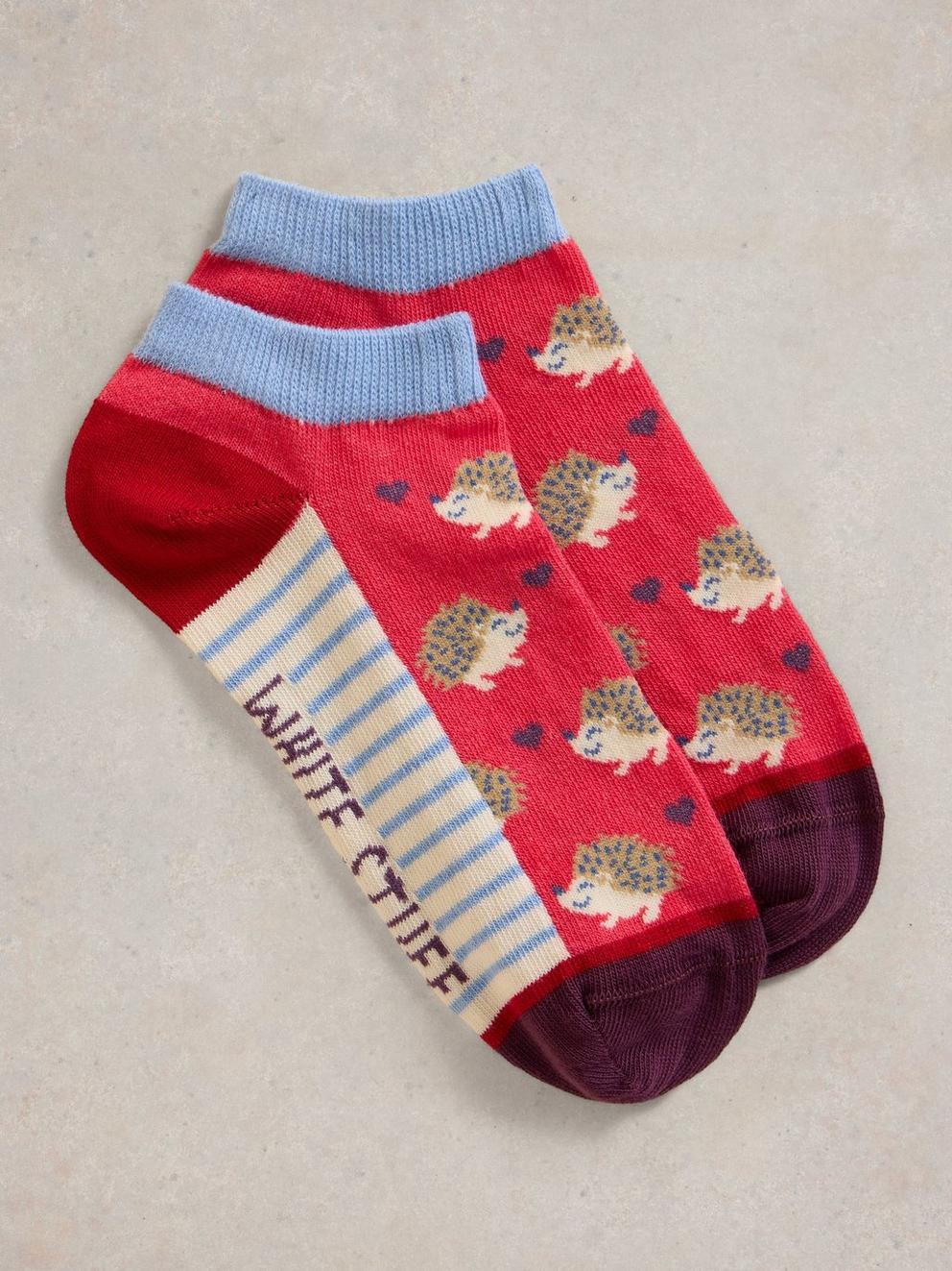 Hedghog Trainer Sock
