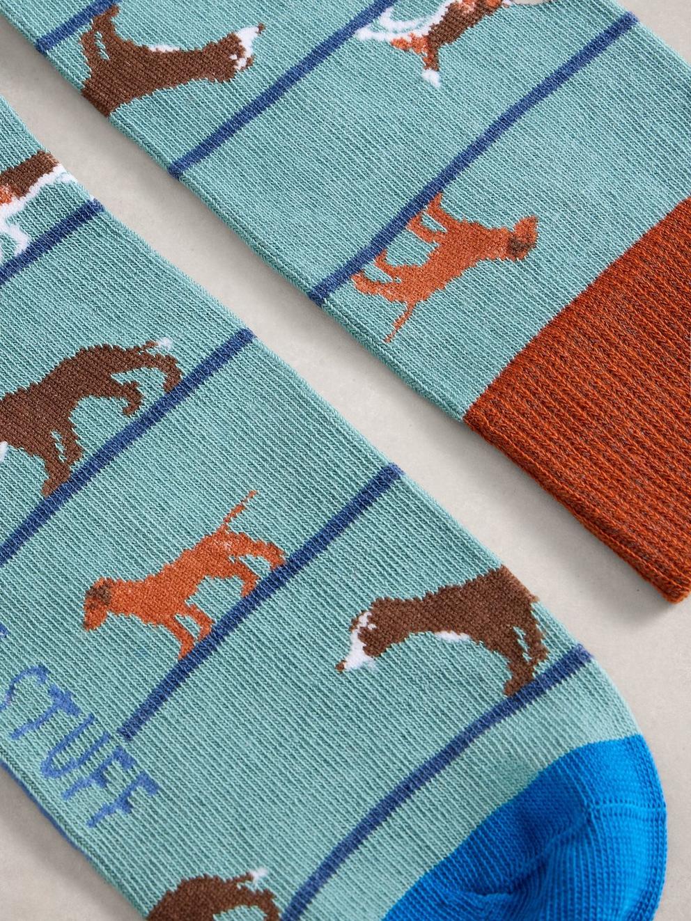Novelty Ankle Sock