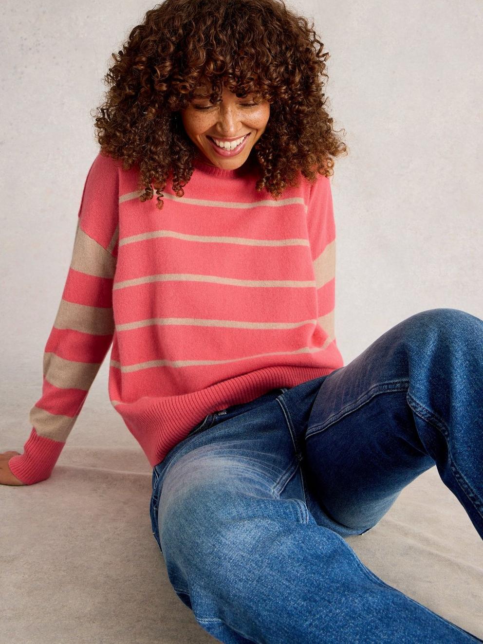 STRIPE CREW CASHMERE JUMPER