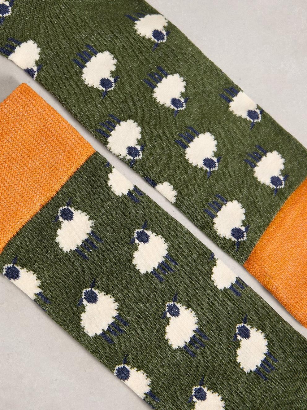 Novelty Ankle Socks