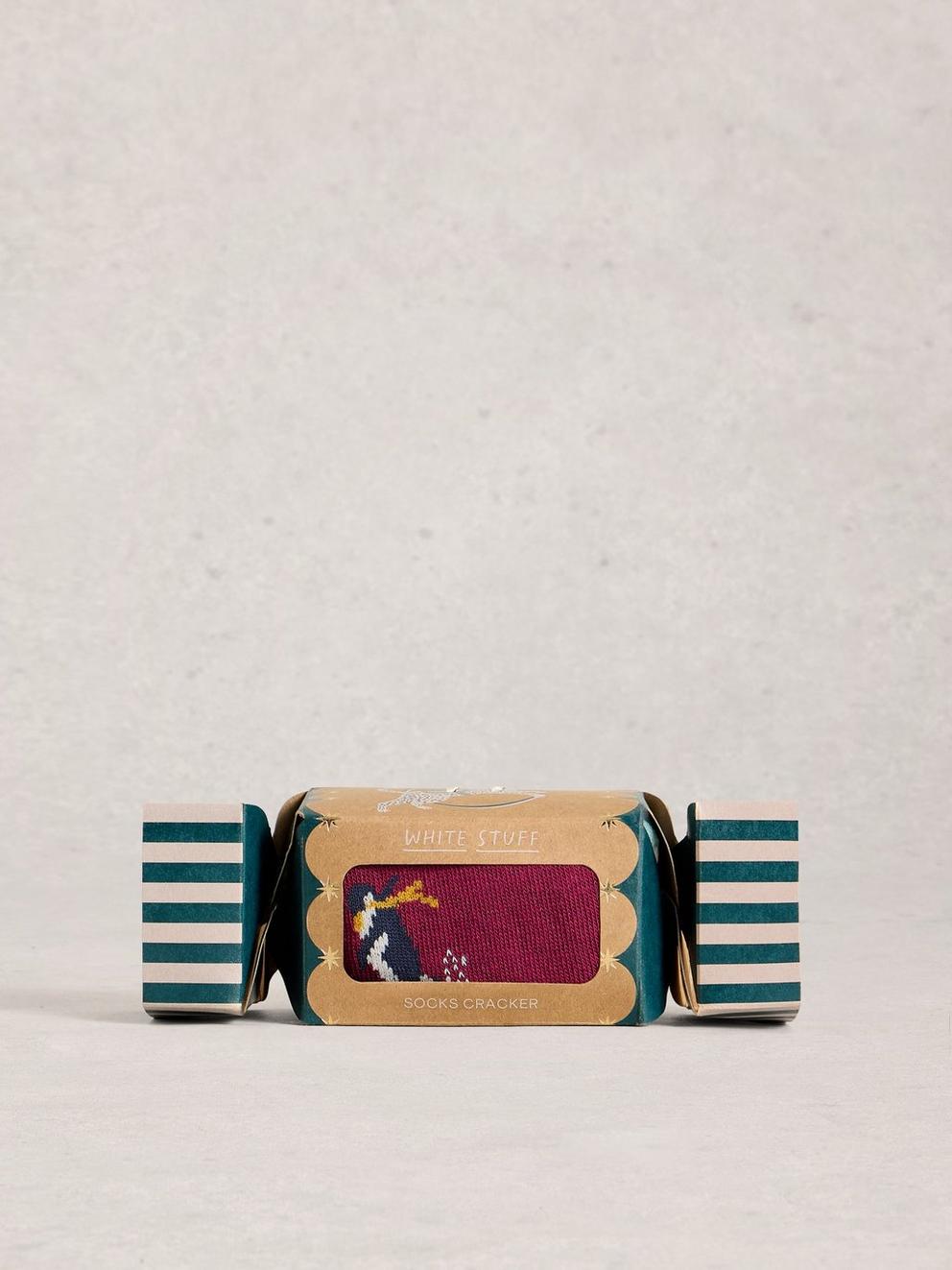 Skiing Penguins in a Cracker