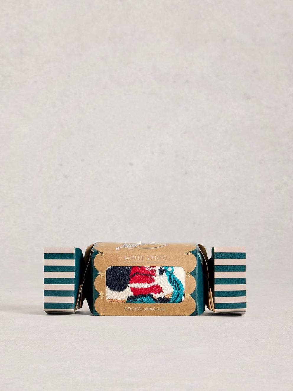 Driving Santa in a Cracker