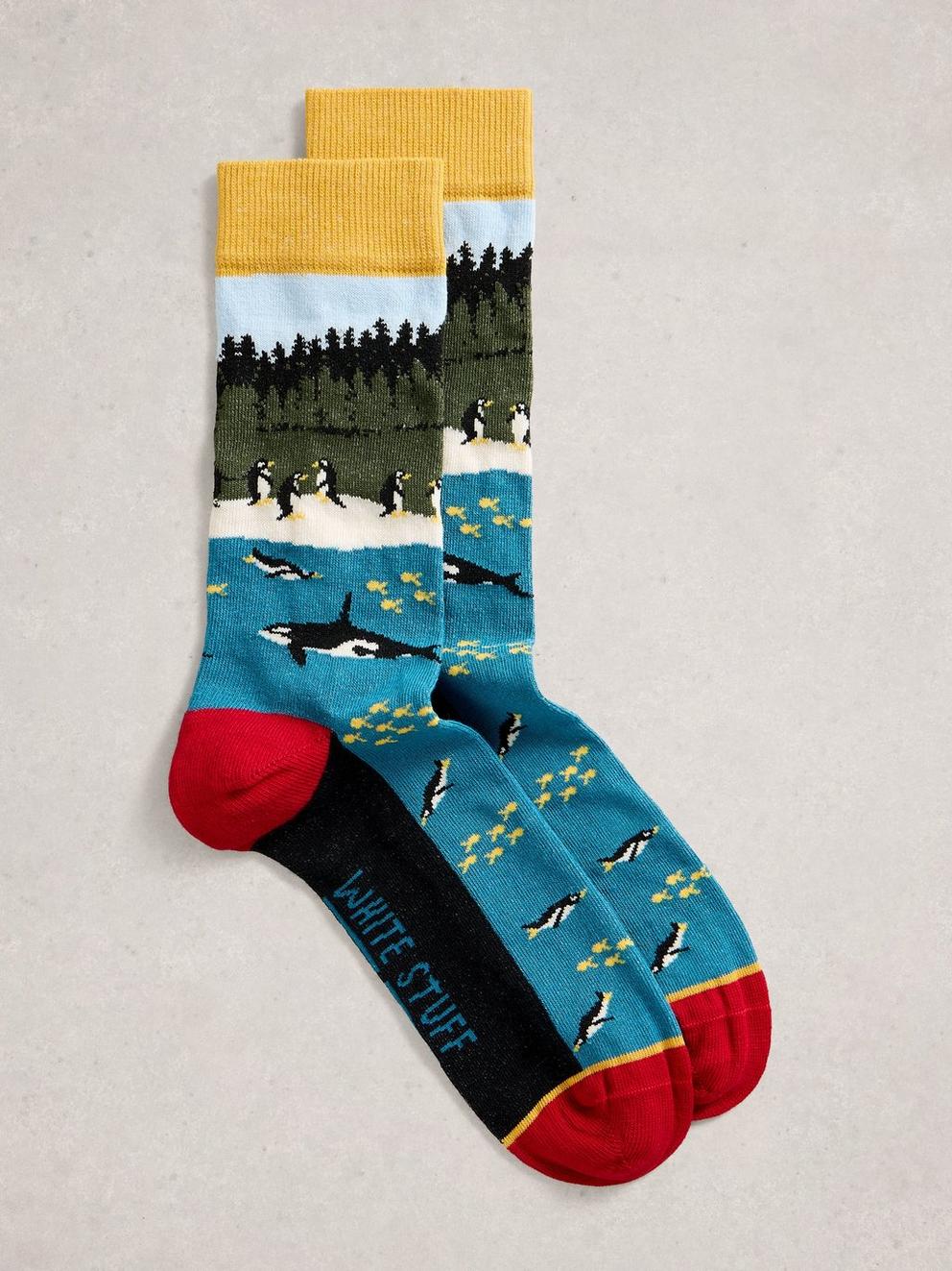 Whale Penguins Ankle Sock
