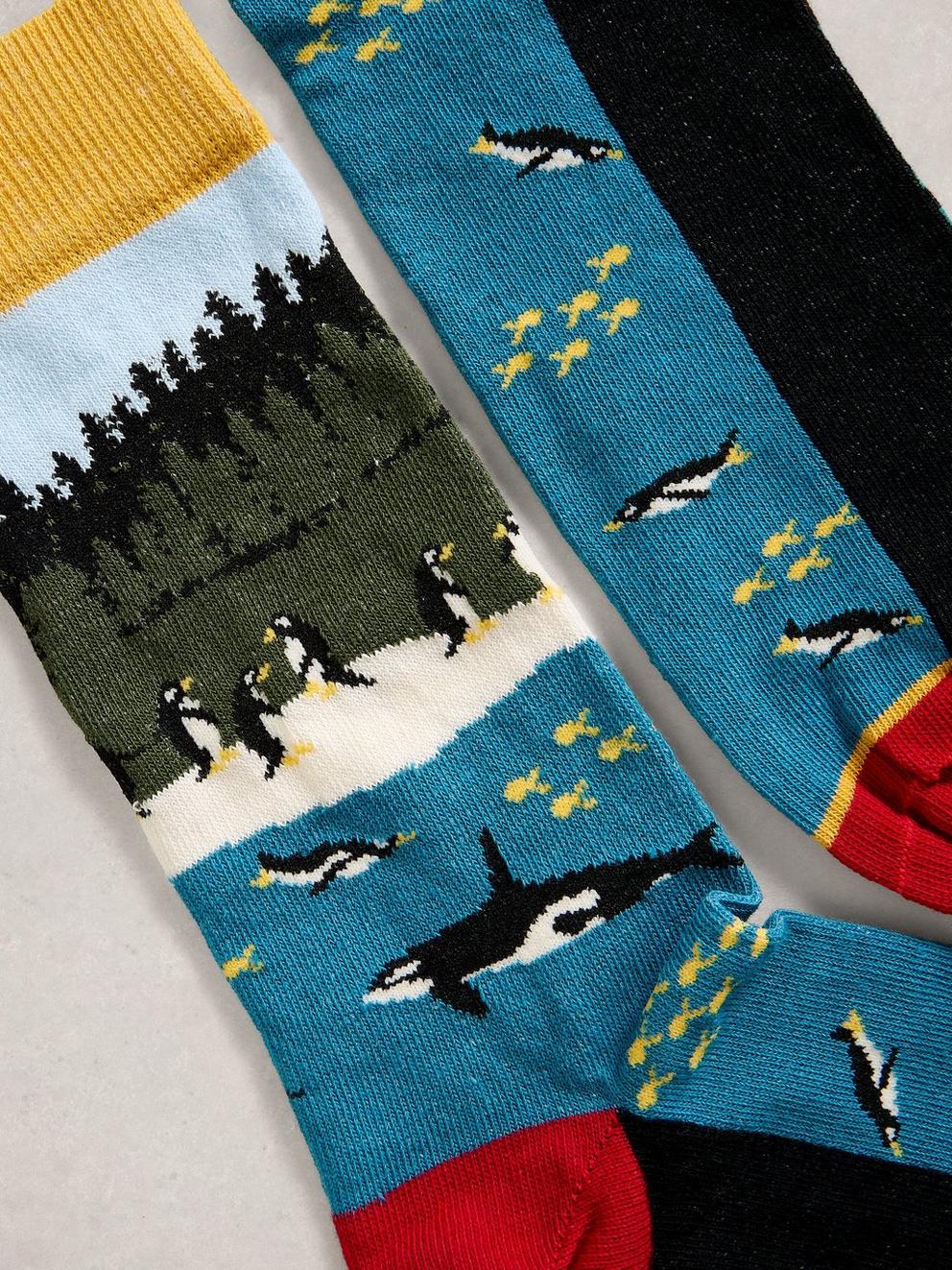 Whale Penguins Ankle Sock