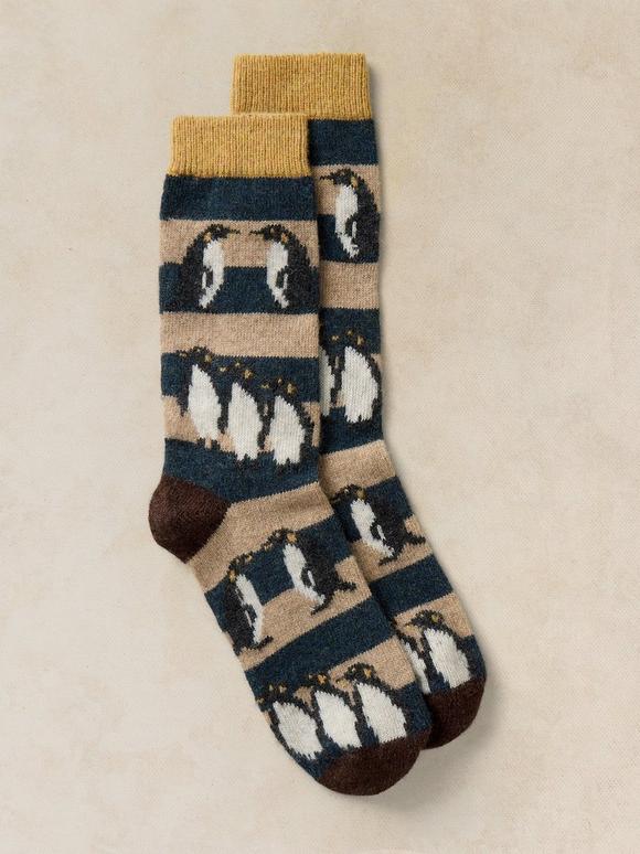 COSY MENS SOCK IN A BOX