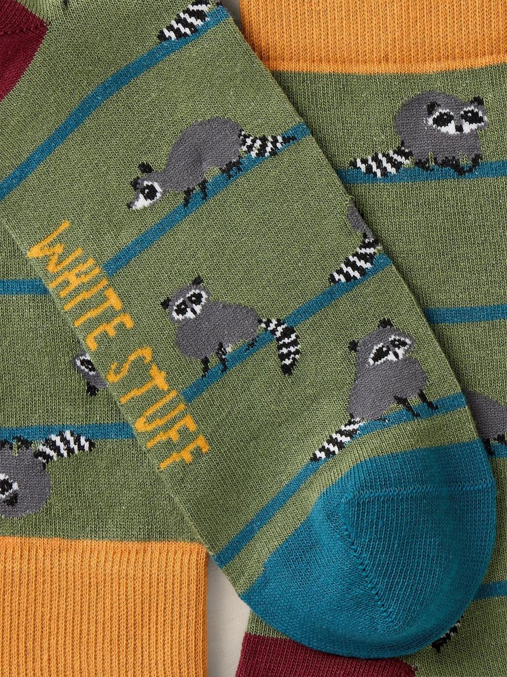 RACOON STRIPE ANKLE SOCK