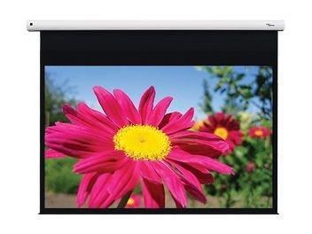 

Optoma 109-inch projector screen (de-1109ega)