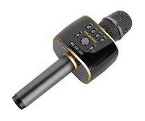 

Magic sing 2-in1 mobile karaoke microphone - mp30