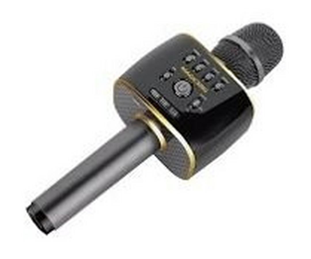 Magic Sing 2-in1 Mobile Karaoke Microphone - MP30