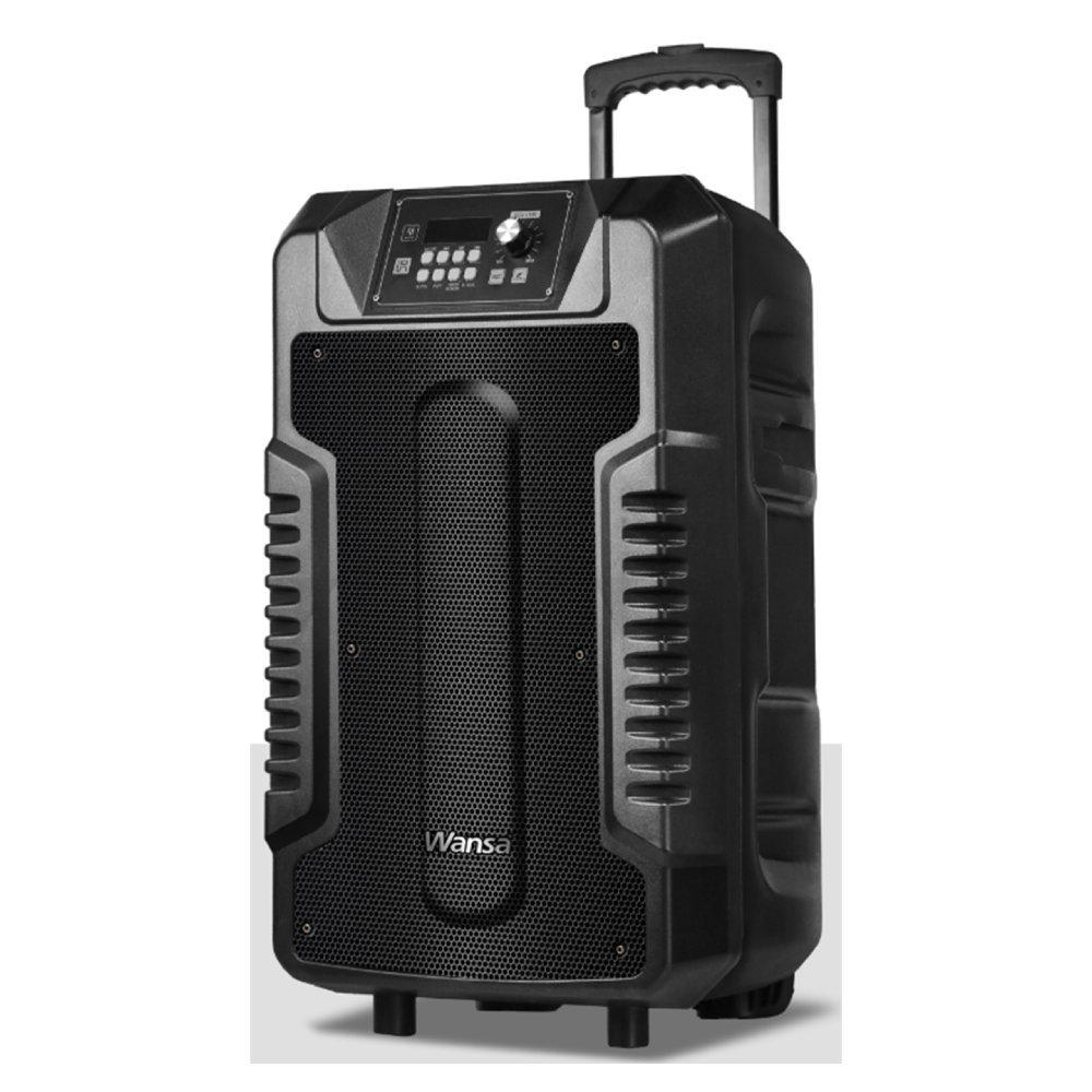

Wansa 12 inch trolley speaker turbovoice 12b