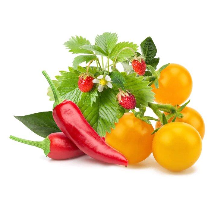 

Click and grow plant pods, 9-pack, ppmfvx9 – fruit & veggie mix