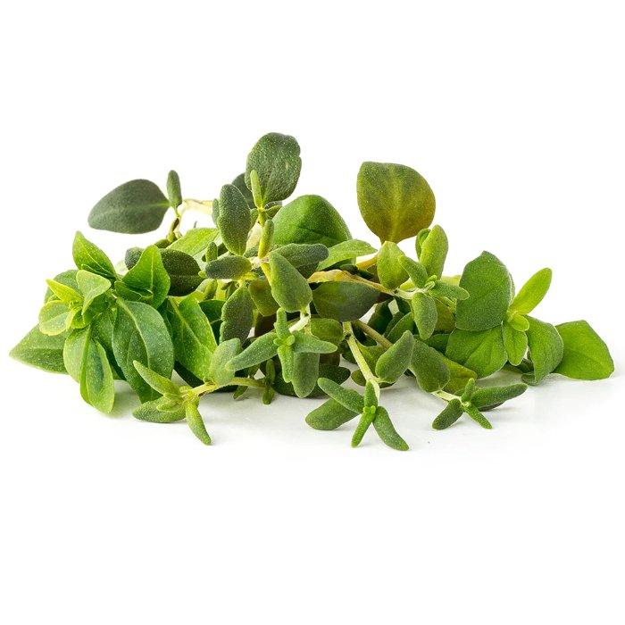 

Click and grow plant pods, 9-pack, ppmipx9 – italian herb mix