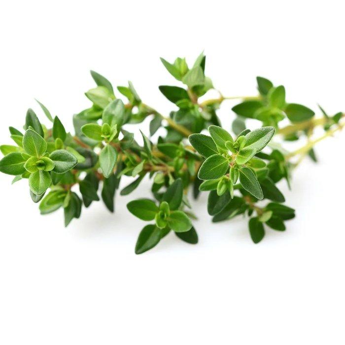 

Click and grow plant pods, 3-pack, sgr17x3 – thyme