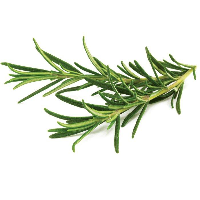 

Click and grow plant pods, 3-pack, sgr51x3 – rosemary