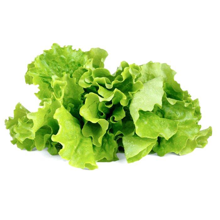 

Click and grow plant pods, 3-pack, sgr32x3 – green lettuce