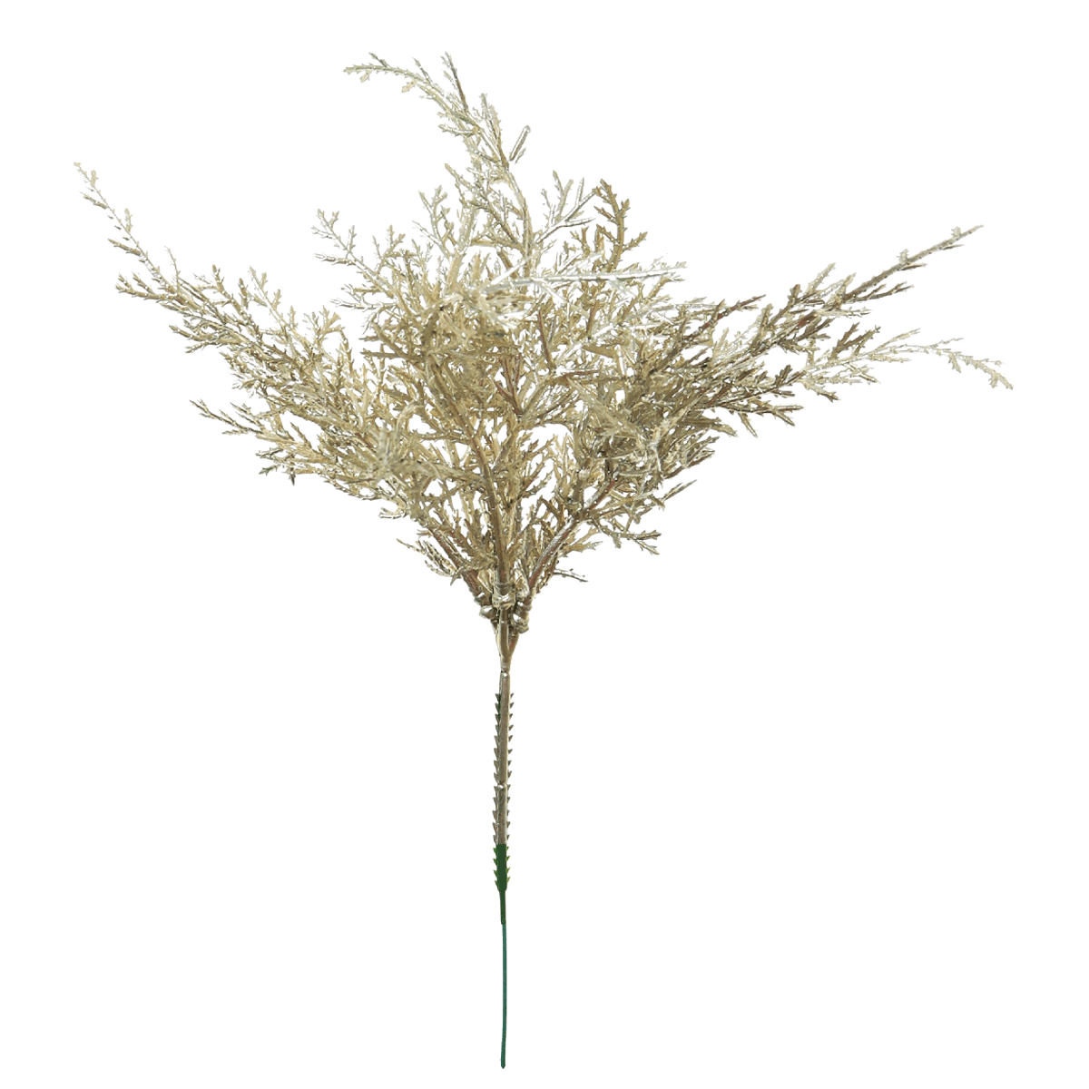 

Metallic conifer gold