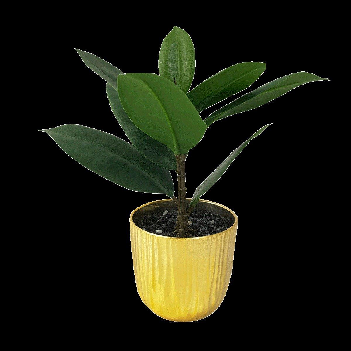 

Oak leaf potted plant 26 cm