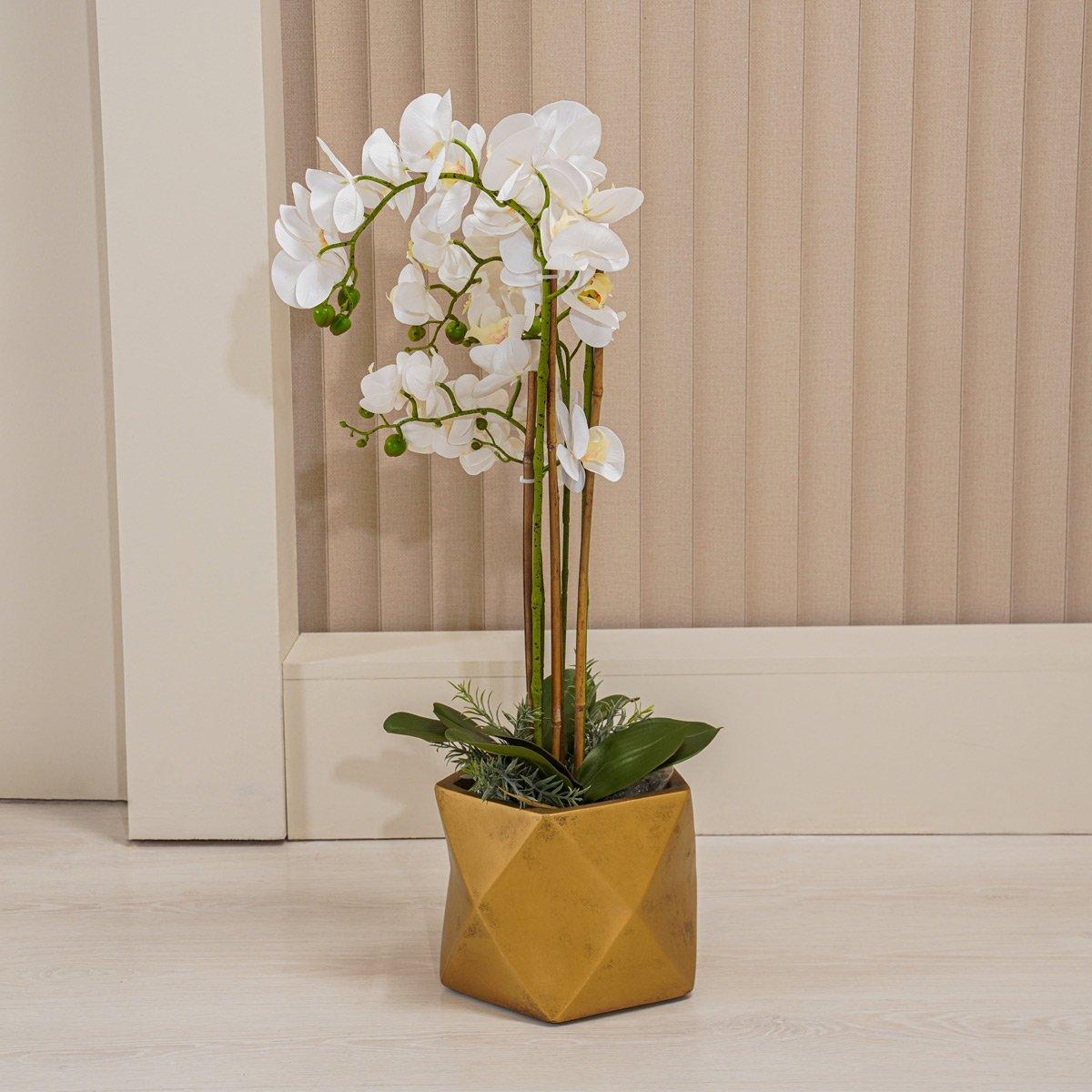 

Orchid potted plant 85 cm