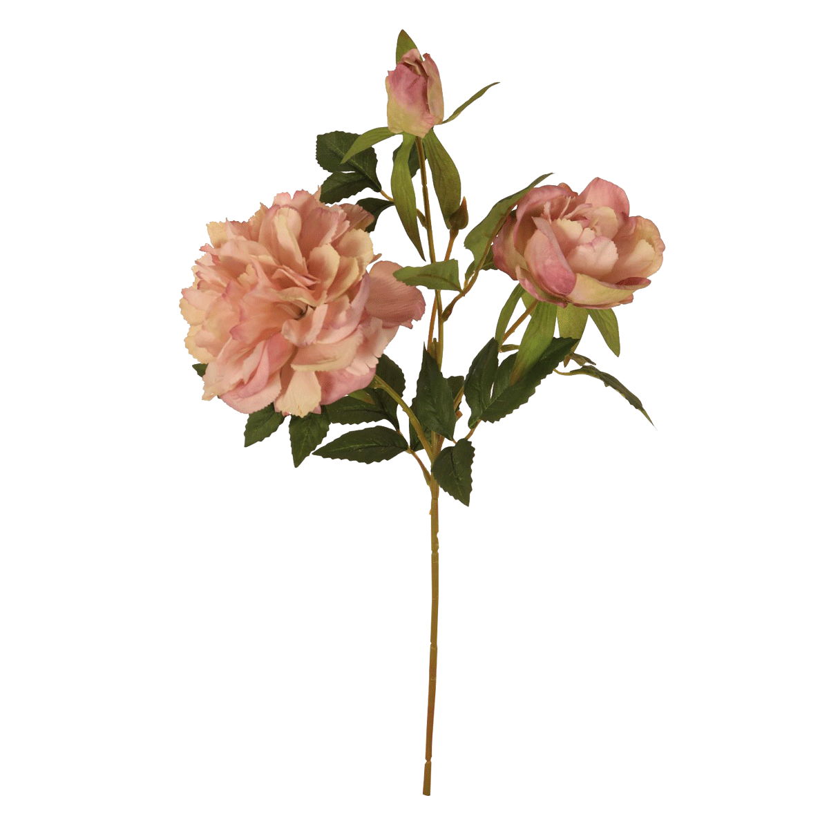 

Silk hillary peony dusty pink 54x11 cm