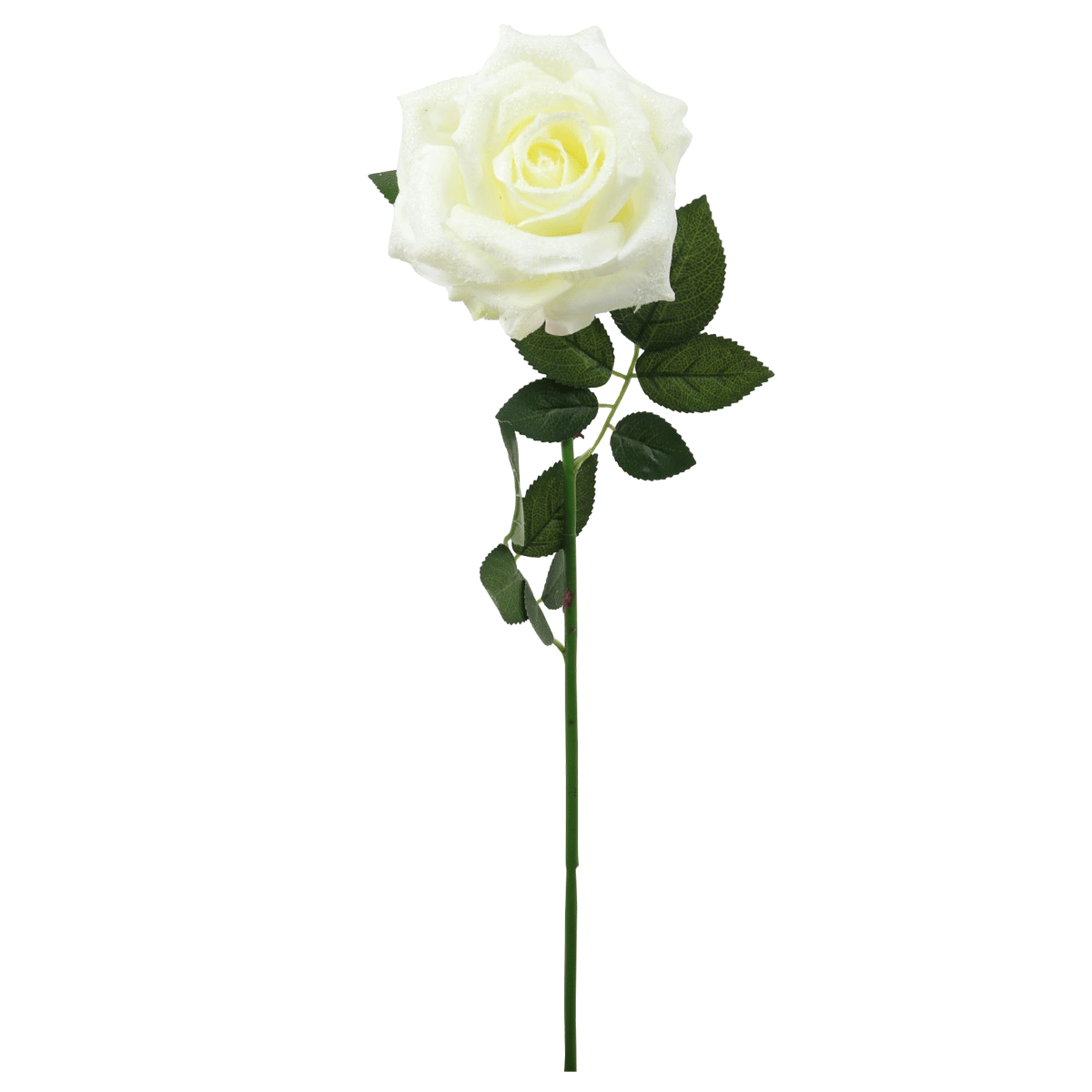 

Silk sparkle open rose ivory 72x11 cm