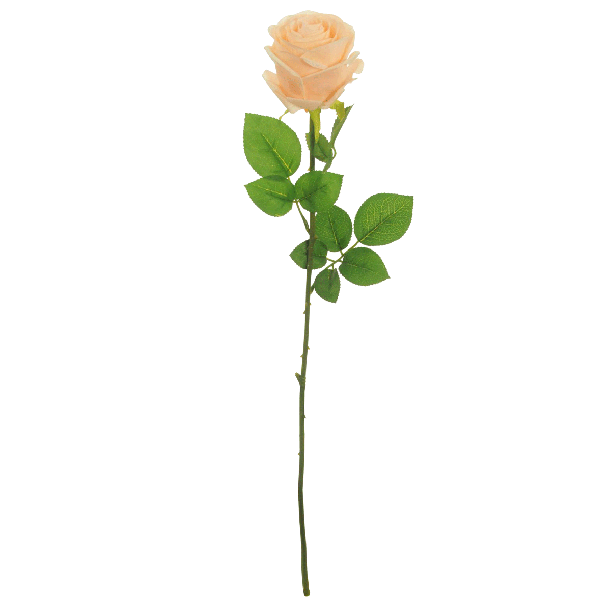 

Silk harper rose pale apricot 62x8 cm