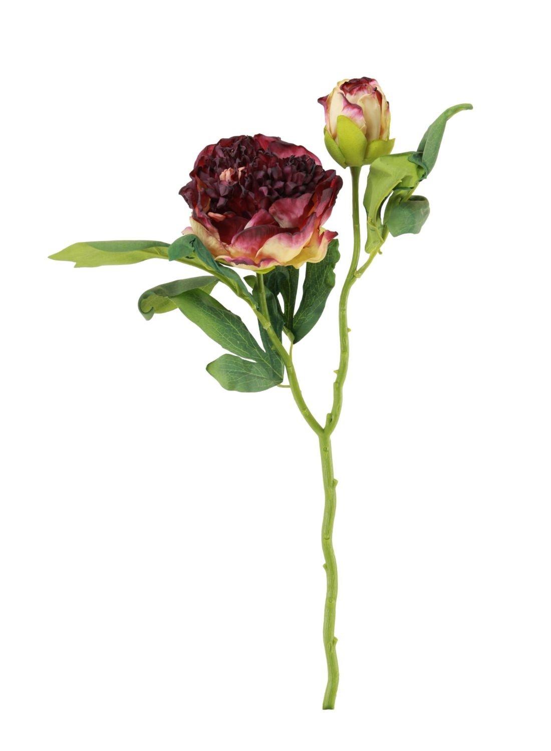 

Dried touch ruffled peony mulberry 116 cm